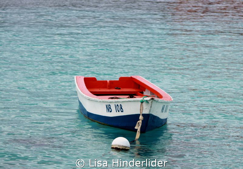 Classic Bonaire Part II by Lisa Hinderlider 