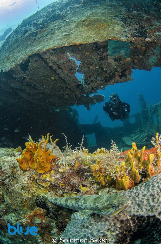 The wreck of the River Taw in St. Kitts

Nikon D7000 | ... by Solomon Baksh 