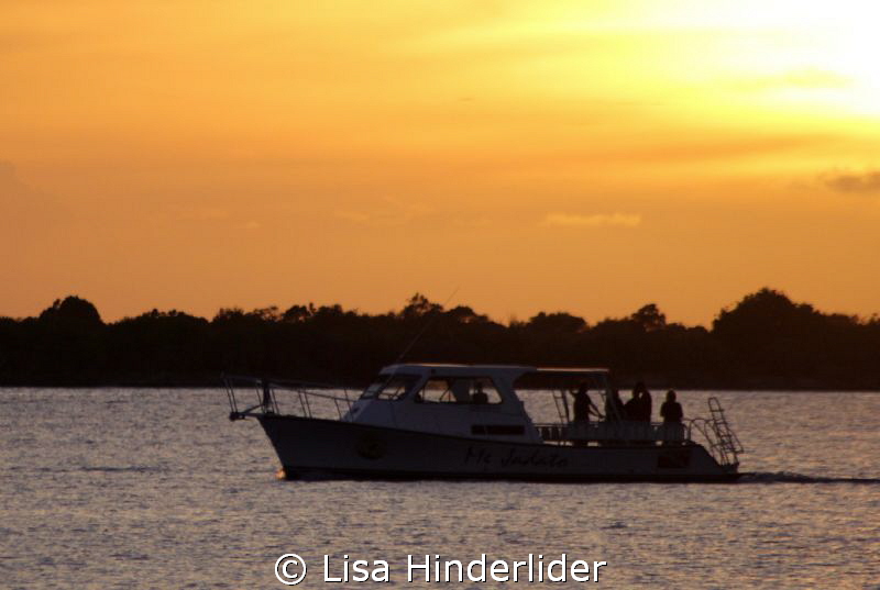 Night Divers Enroute by Lisa Hinderlider 