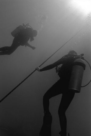 DM gives the thumbs-up sign to signal ascent to the safet... by Matthew Shanley 