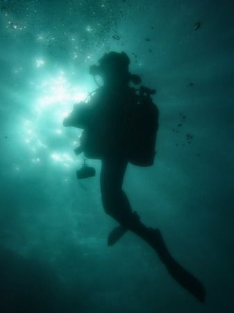 Night Diving - Sharks Cove North Shore Oahu Hawaii by Glenn Poulain 