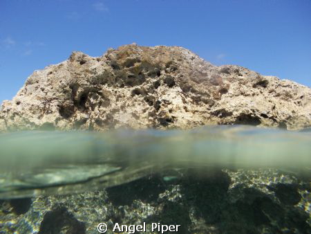 I was standing by the rock when i saw a school of tiny li... by Angel Piper 