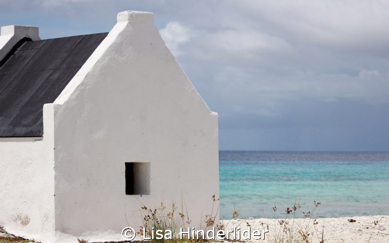 Simple Beauty by Lisa Hinderlider 