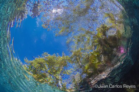 Blue Sky by Juan Carlos Reyes 