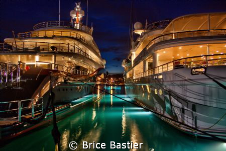 Wich one do you want? by Brice Bastier 