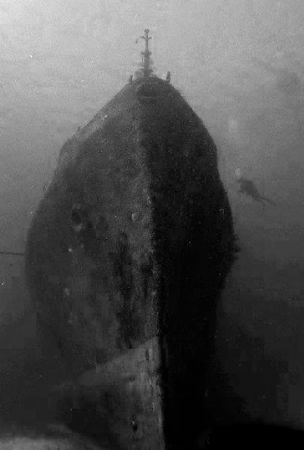 C53 Cozumel. Olympus C5050 by Rand Mcmeins 