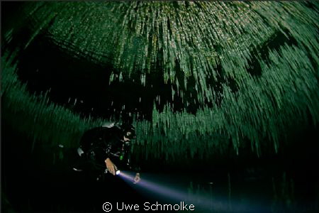 Mexican cenote by Uwe Schmolke 