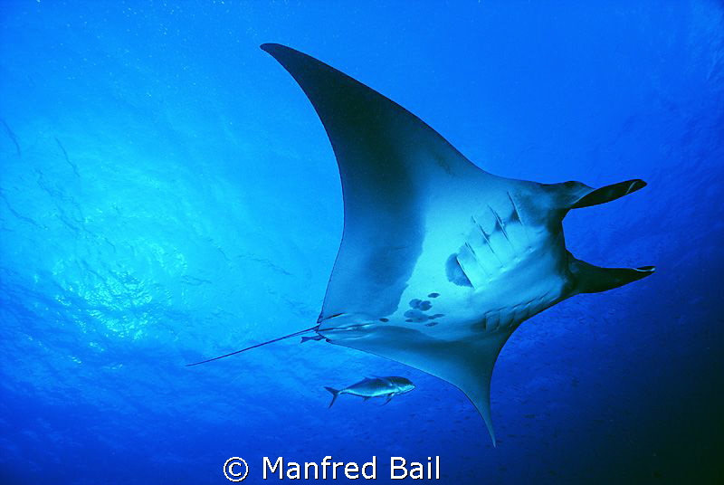 Raja ampat, Misool eco resort, magic mountain, just good ... by Manfred Bail 
