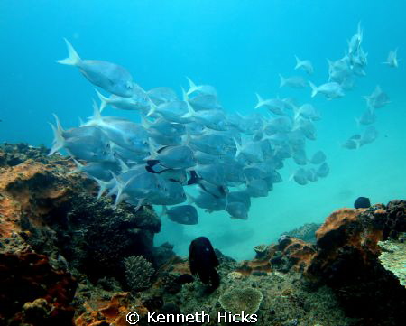 Taken in Sodwana, by Kenneth Hicks 