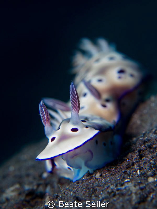 Two nudis by Beate Seiler 