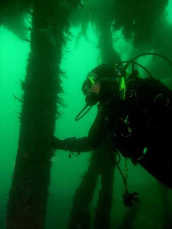 Y in a wreck - Cannon 10D by John Akar 