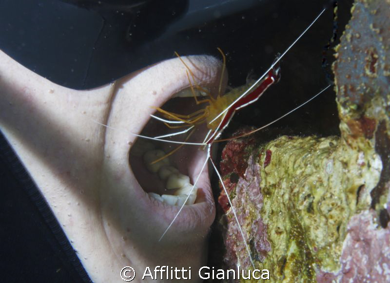 doctor.....shrimp by Afflitti Gianluca 