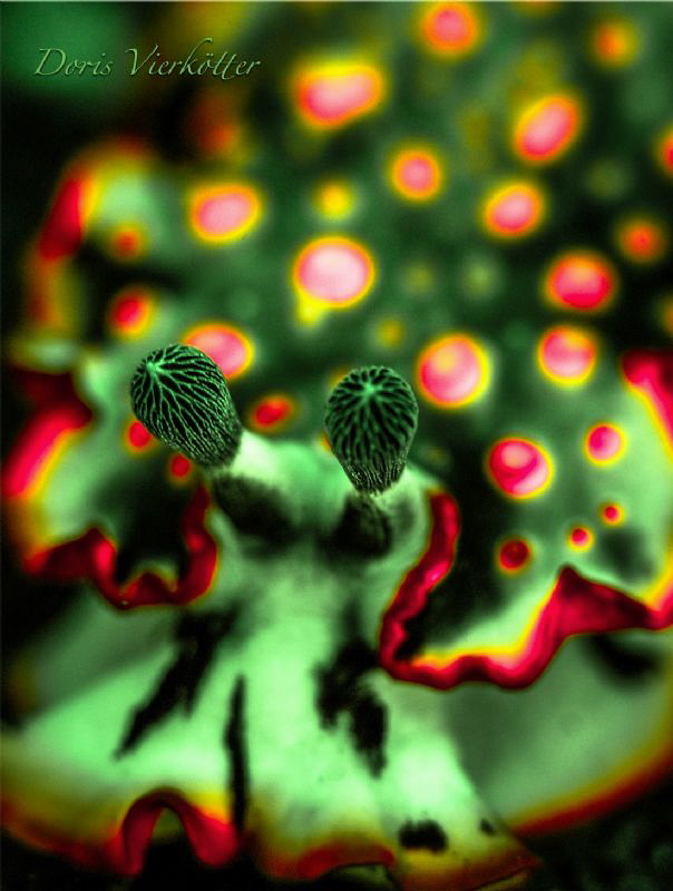 Nudi Fluo Dive by Doris Vierkötter 