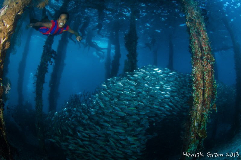Aborak Jetty boy showing a school of fish by Henrik Gram Rasmussen 