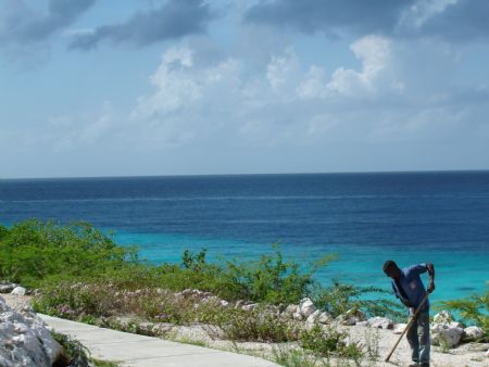 An employee of Habitat Curacao dive resort. Wow what an o... by Kelly N. Saunders 