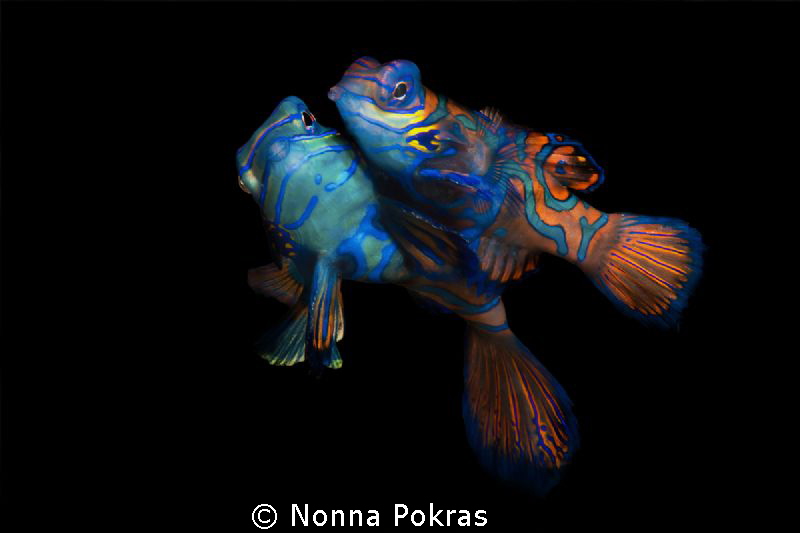 Couple by Nonna Pokras 