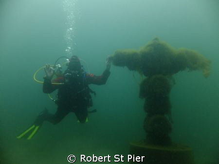Stones cove by Robert St Pier 