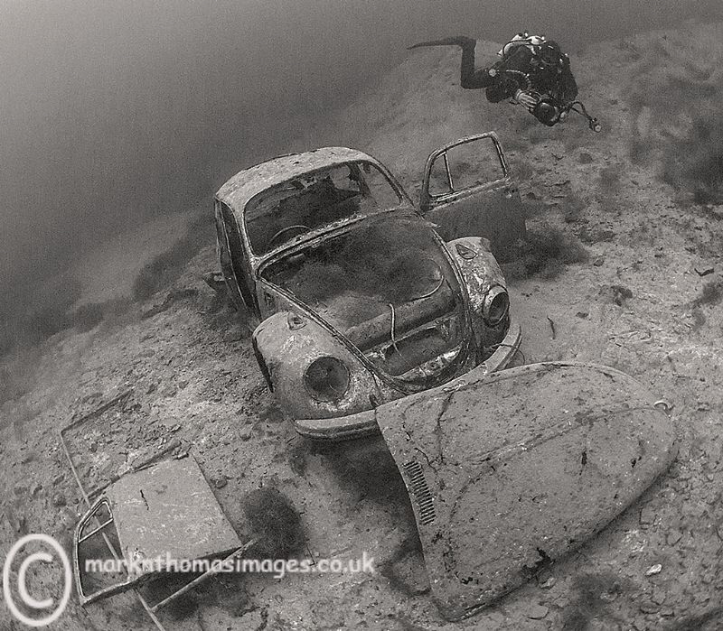 Water Beetle.
Capernwray. by Mark Thomas 