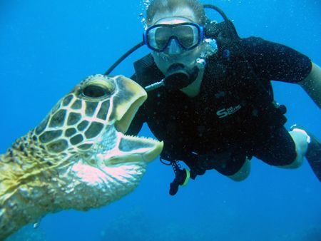 I think the turtle just ate his arm?! I thought only shar... by Todd Meadows 