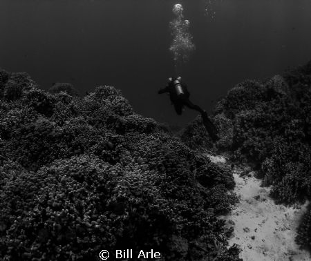 Big Island, Hawaii by Bill Arle 