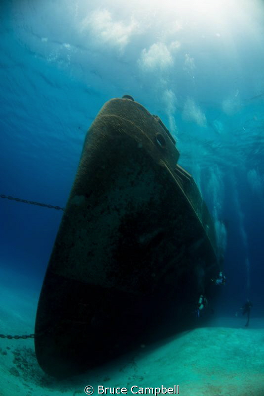 The looming Kittiwake by Bruce Campbell 
