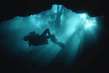 Diver silhouette in freshwater spring, northern Florida. ... by Andre Seale 