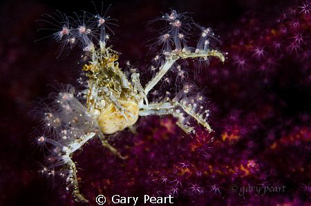 All dressed up with nowhere to go by Gary Peart 