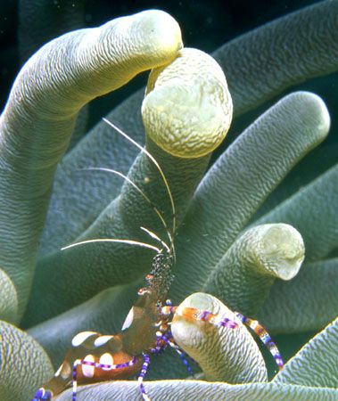 Good cleaning help is hard to find. by David Spiel 