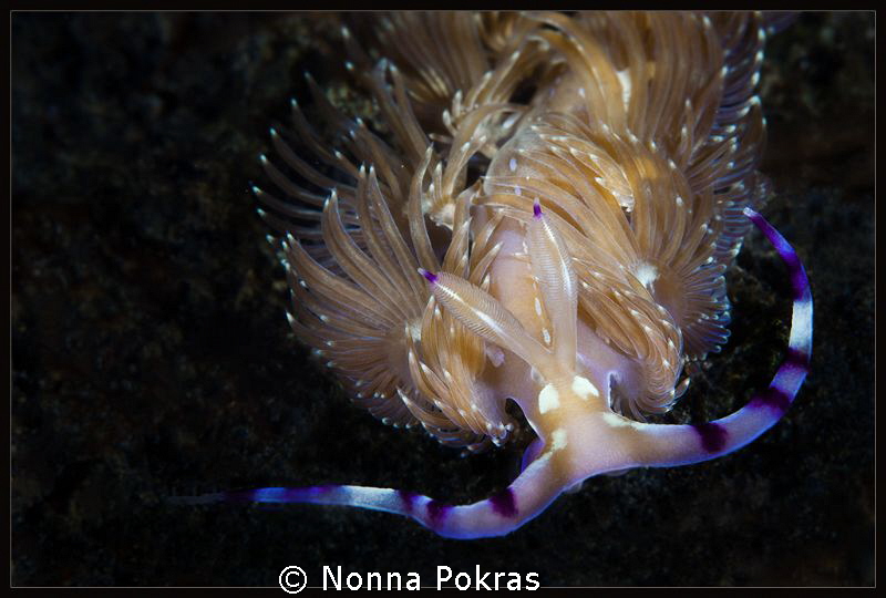 in the dark by Nonna Pokras 