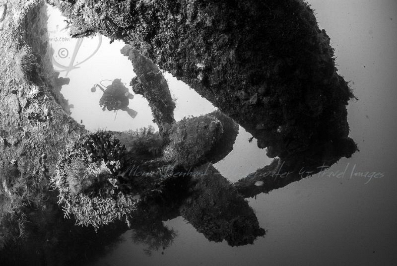 PROPELLER
-50m Gili Raja Wreck by Mona Dienhart 