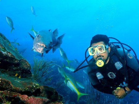 This photo was shot with a nikon d100.The barracuda is ca... by Shawn Jackson 