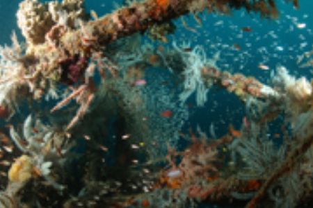  Kapalai wreck.nov.2005
d70,16mm.sabah,borneo by Frankie Tsen 
