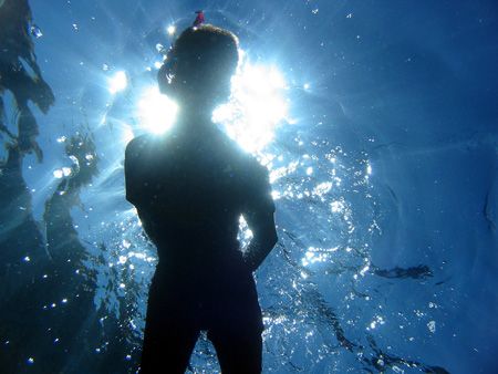 snorker silhouette in the sunlight. maui, hawaii. by Lisa Lappe 