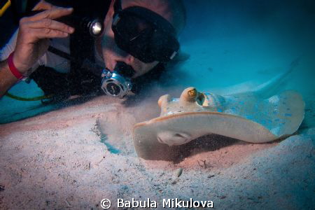 diver and stingray by Babula Mikulova 