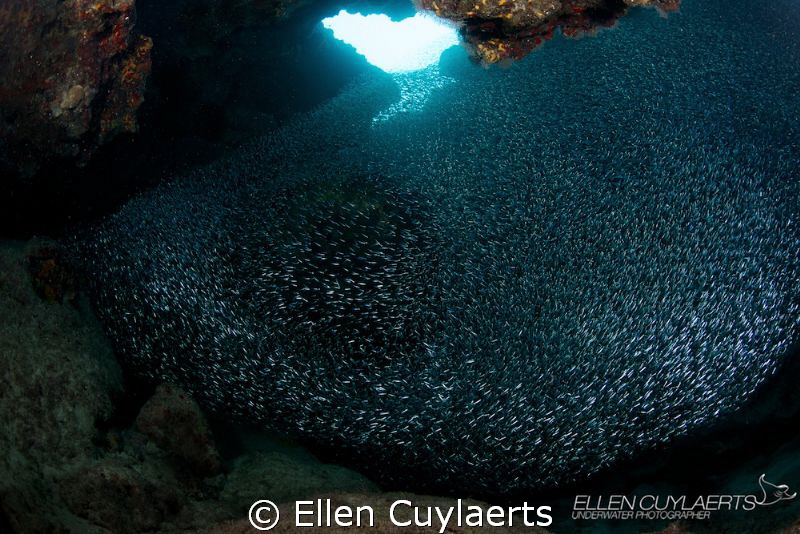 Stream
This time I went to Eden Rock instead of my favor... by Ellen Cuylaerts 