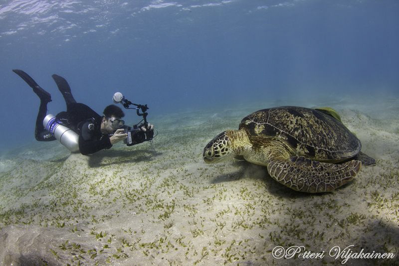 Sidemount photographer and old green turtle. Canon 7D. To... by Petteri Viljakainen 