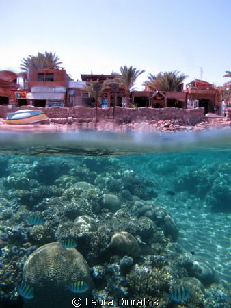 Over under house reef and dive centres by Laura Dinraths 