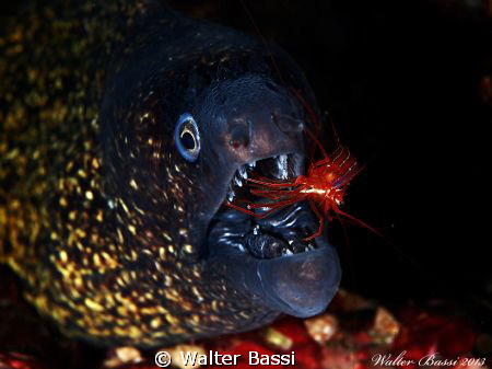 Cleaning by Walter Bassi 
