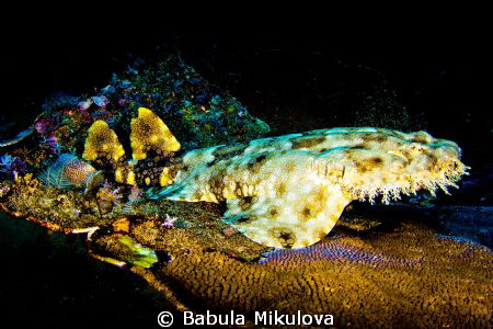Wobe by Babula Mikulova 