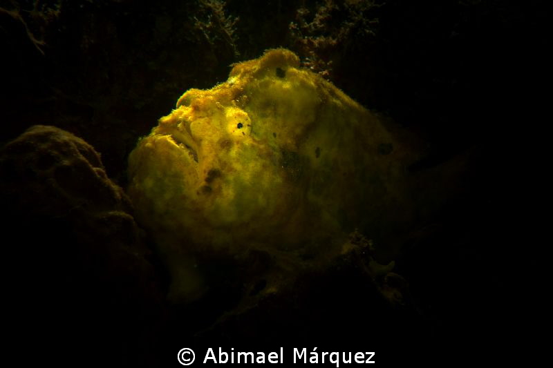 Chiaroscuro, Rembrandt technique. by Abimael Márquez 