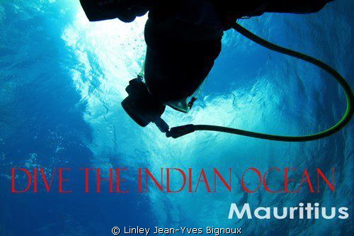 Canon 7d Ikelite .Grand Bay -Republic of Mauritius /12 me... by Linley Jean-Yves Bignoux 