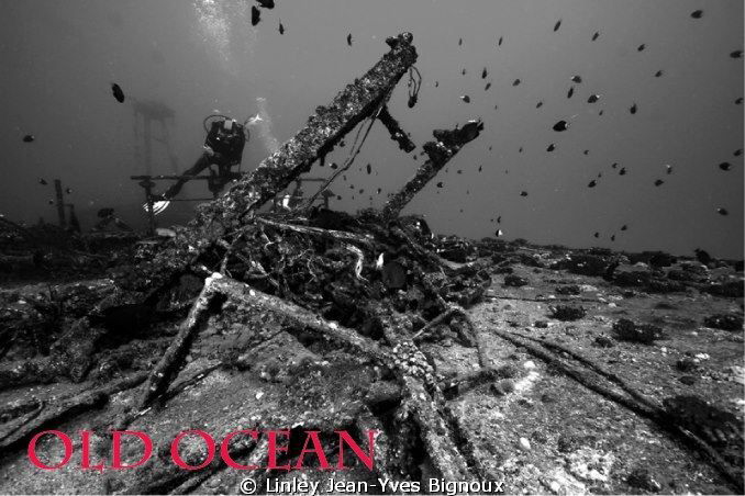 Canon 7d Ikelite .Mauritius ,Balaclava.30 metres ,shipwre... by Linley Jean-Yves Bignoux 