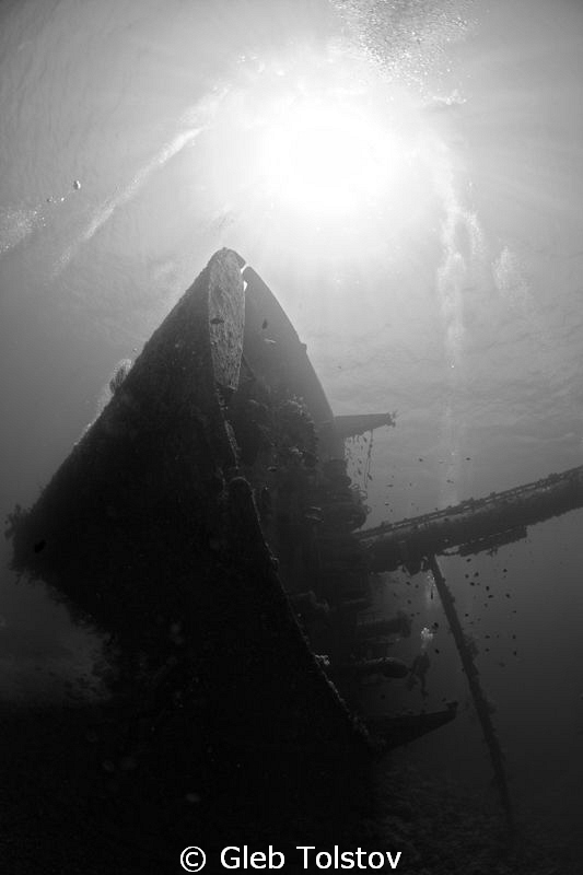 Cedar Pride wreck by Gleb Tolstov 