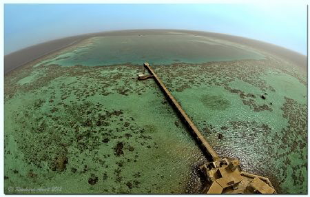 -ocean planet-
View from Sanganeb Lighthouse north direc... by Reinhard Arndt 