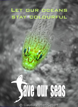 let our oceans stay bright by Claudia Weber-Gebert 