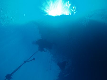 taken at 5m depth, over the El Mina wreck in Red Sea by Jakub Patynek 