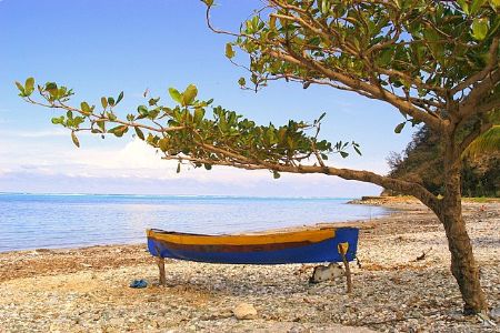  Roatan, honduras. by Shawn Jackson 
