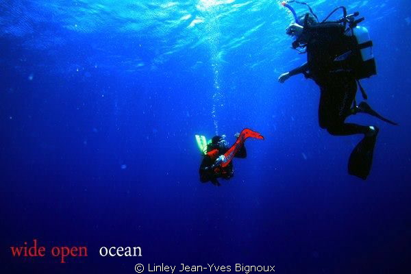 Canon 7d -Balaclava dive site in Turtle bay max dive dept... by Linley Jean-Yves Bignoux 
