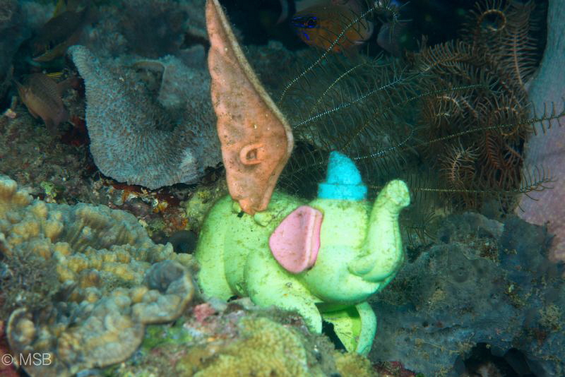 A diving flying elephant (after retirement !). You can se... by Mehmet Salih Bilal 