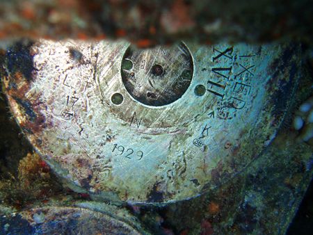 missle from Thislegorm, wreck in Red Sea. missle made in ... by Jakub Patynek 